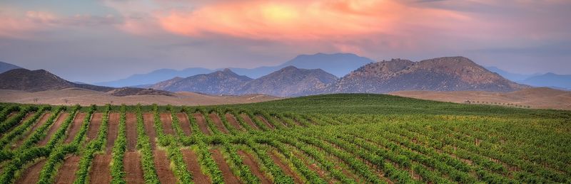 Relocation in Temecula Temecula movers