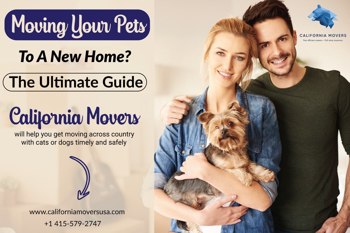 Moving your pets to a new home?