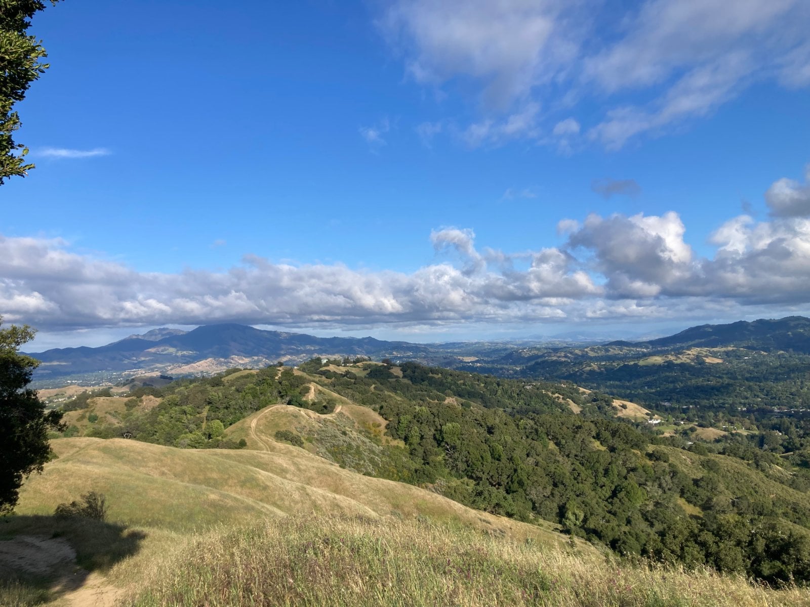 Rolling hills and ridge road near Lafayette in Contra Costa County, California, where California Movers USA reviews grade and truck clearance before a hillside move