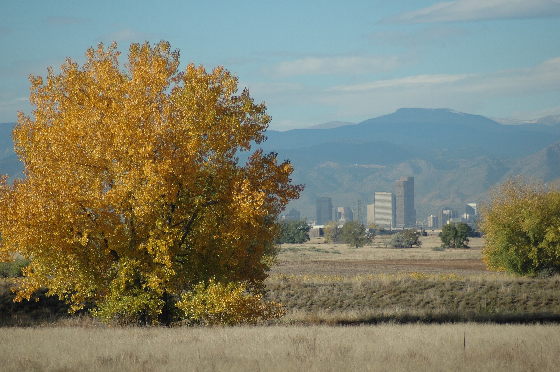 Denver skyline with the Rocky Mountains behind it