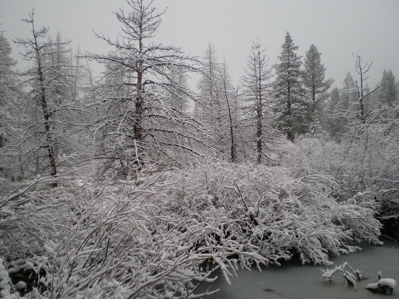 Snow-covered street in Truckee, California, where chain controls on Interstate 80 can delay a winter move over the Sierra